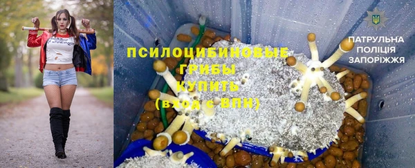 МДПВ Алексеевка