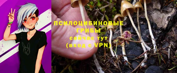 тгк Остров