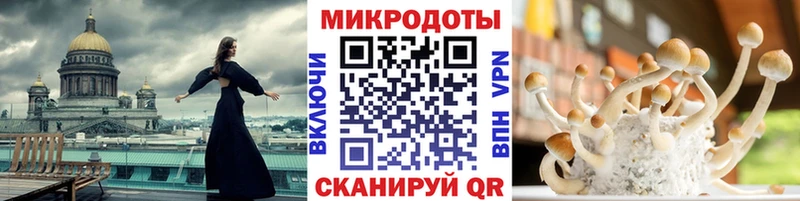 kraken ТОР  Пролетарск  дарк нет клад  Псилоцибиновые грибы GOLDEN TEACHER 